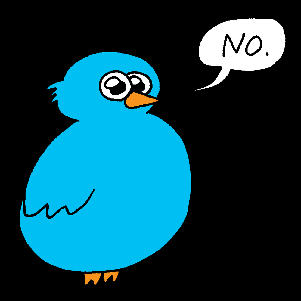 birdyNOFT3
